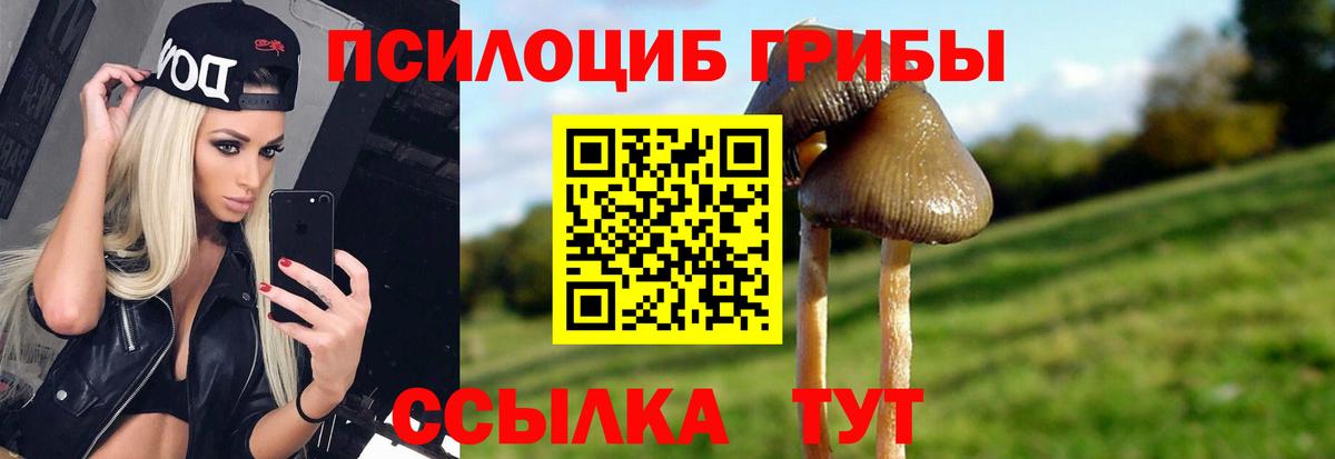Псилоцибиновые грибы Cubensis Кинель